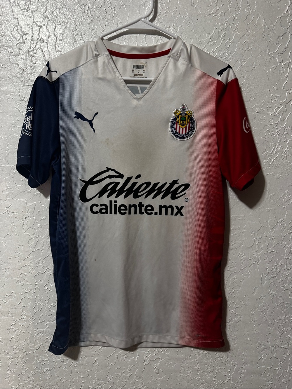 PUMA CHIVAS GUADALAJARA JERSEY SHIRT
Caleinte.mx